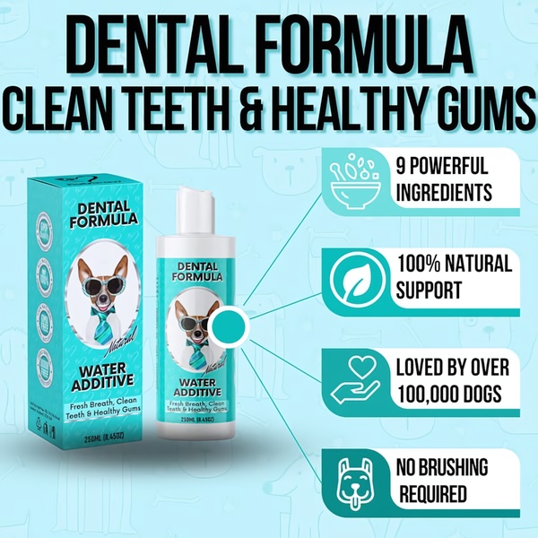 This static square creative uses clear icon-based benefit callouts and a product-centered visual to communicate value without clutter.
